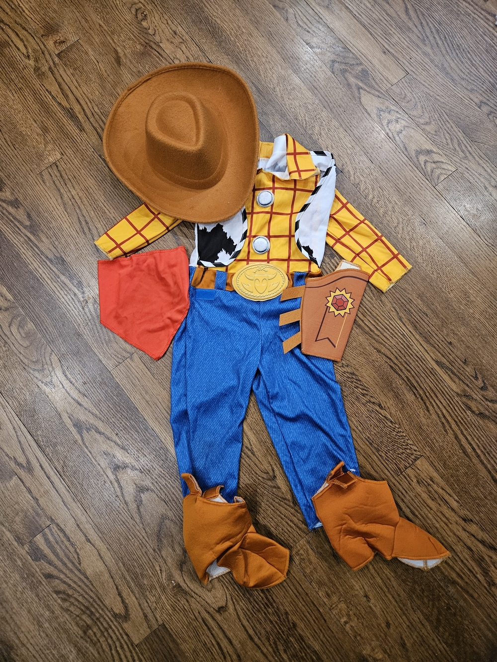 Woody Costume Toddler